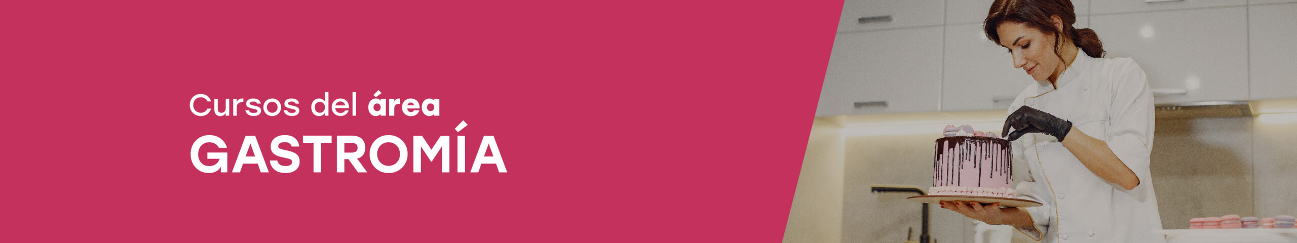 Área gastronomía Banner