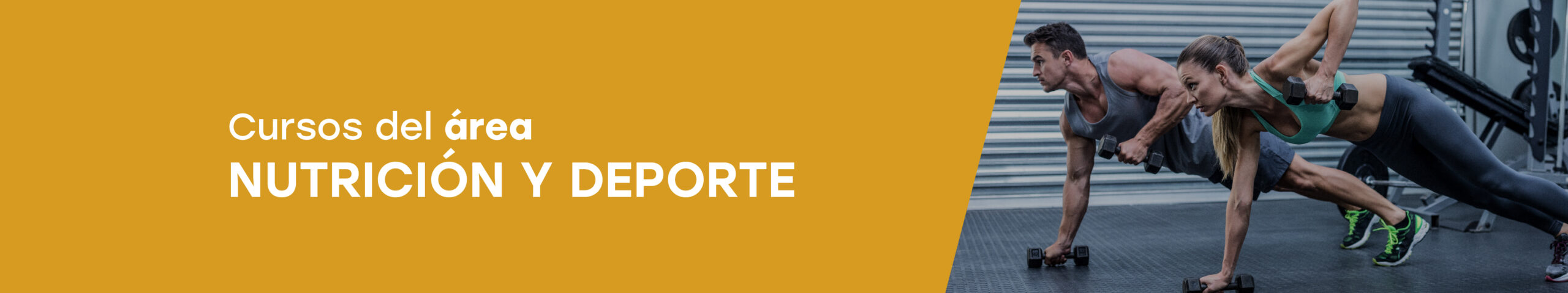 Área nutrición y deporte Banner