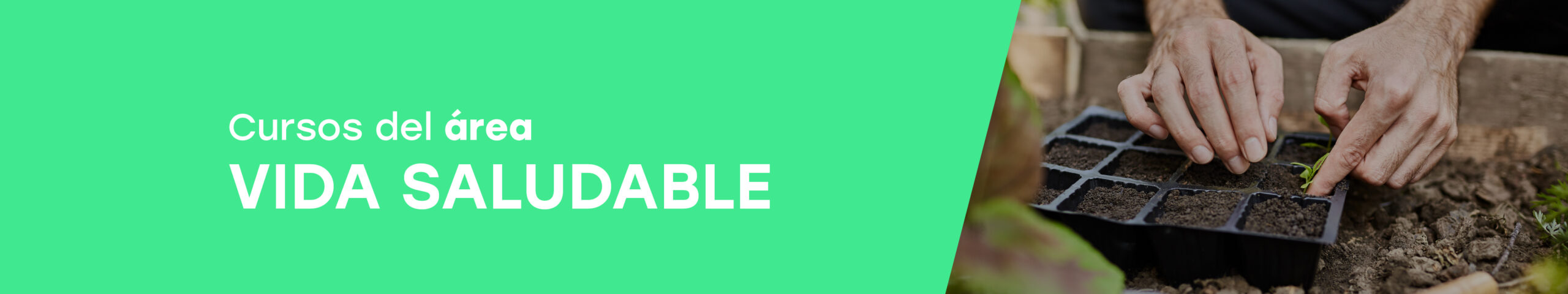 Área Vida Saludable Banner