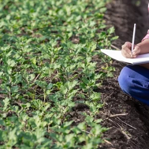 Administración Rural